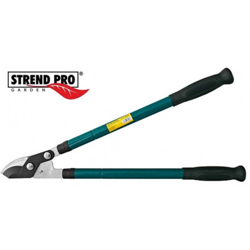 Šķēres KT3835A, zariem, Cut38, teleskopiskas ,STREND PRO
